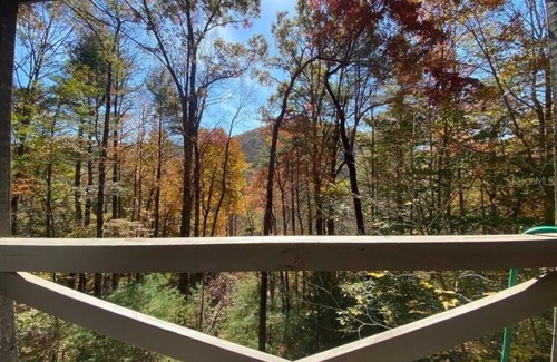 Suches Cabin | Life is a HOOT in the mountains of Suches