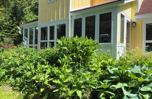 Lincolnville Cottage | Light-filled Cottage Close to Lincolnville Beach. Pet friendly!
