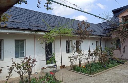 Tecuci House | Like in your home