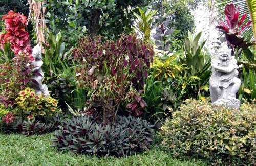 Sidemen Bed & Breakfast | Lila Stana - Sidemen Homestay