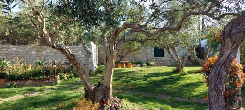 Rethymno House | Lily's Cottage