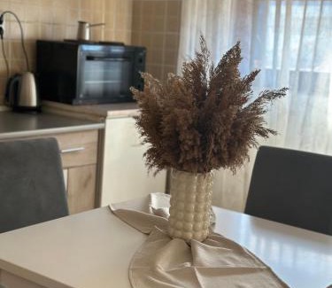 Leskovac Apartment | Lilyy