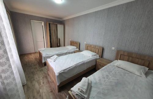 Kutaisi Apartment | Lime Hill Hotel