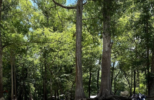 Branford RV Rental | Lime Rock Landing Cozy Camping, Private Beach located on the Sante Fe River.