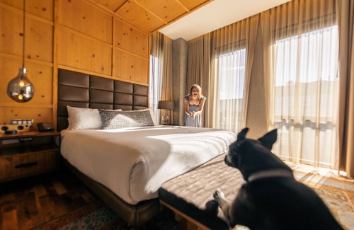 LoDo Hotel | Limelight Hotel Denver