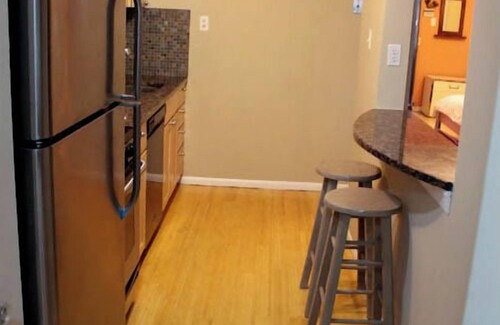Sheffield and DePaul Apartment | Lincoln Park Garden Apartment
