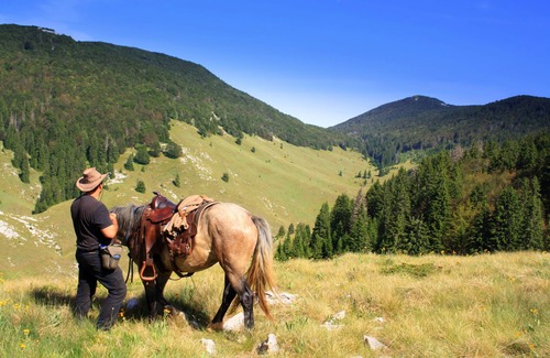 Velika Plana Apartment | Linden Tree Retreat & Ranch