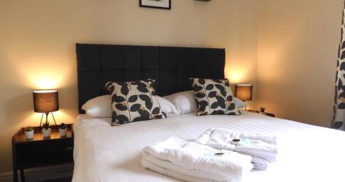 Hoole Apartment | Lion House (Zoo/City)