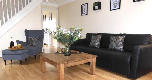 Hoole Apartment | Lion House (Zoo/City)