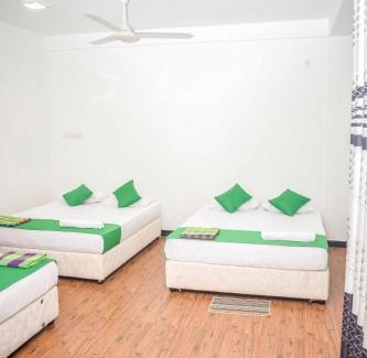 New Town Hotel | Lion Resort