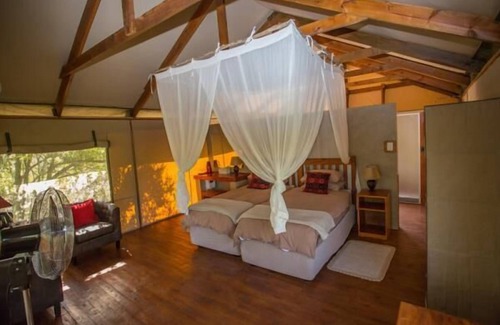 Thorny Bush Game Reserve Other | Lion Tree Top Lodge
