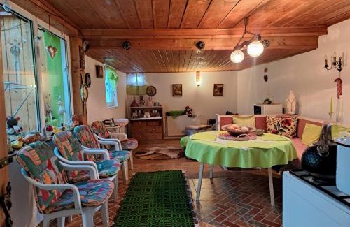 Sighisoara House | Littel green old Home