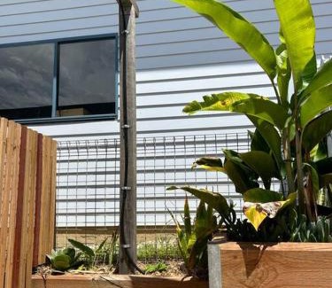 Sawtell Apartment | Little Banksia