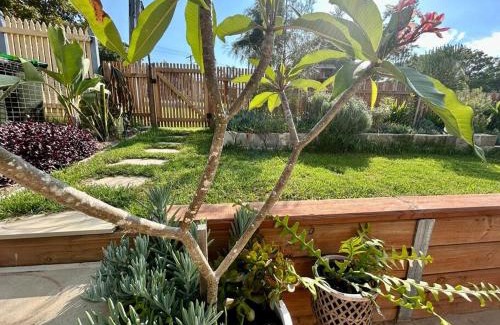 Sawtell Apartment | Little Banksia