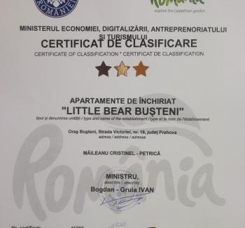 Busteni House | Little Bear Busteni 3