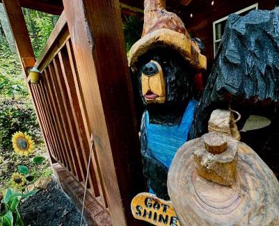 Cosby House | Little Bear Tiny Cabin