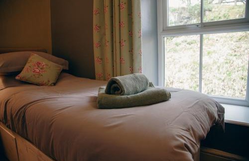 Gellilydan House | Little Cott - Cosy Welsh Cottage, a hiking retreat