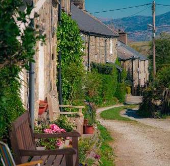 Gellilydan House | Little Cott - Cosy Welsh Cottage, a hiking retreat