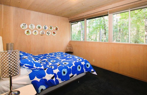 Middletown Cabin | Little Falling Water - Mid-Mod Masterpiece