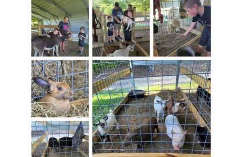 Rock Spring Other | Little House on the Farm