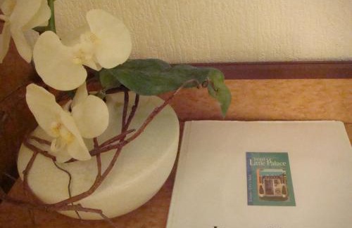Cannes City Centre Hotel | Little Palace