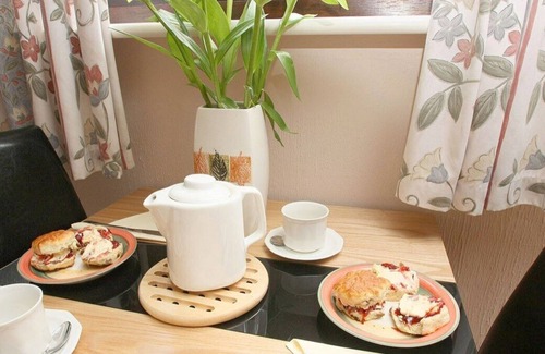 Rosudgeon House | LITTLE PALM TREES, with a garden in Penzance