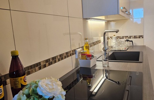 Boppard Apartment | Little Rhine View Château (Harry): with terrance, river view, mountain view.