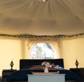 Ballymoney Other | Little River Glamping