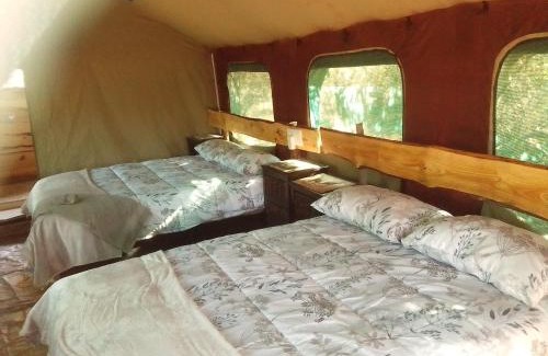 Thorny Bush Game Reserve Other | Little5 Camp