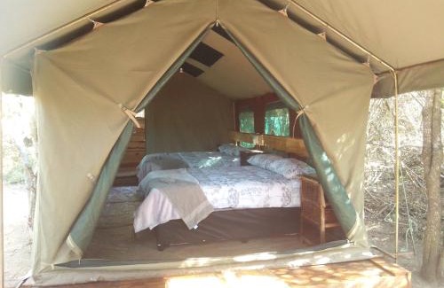 Thorny Bush Game Reserve Other | Little5 Camp