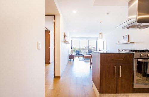 Hipodromo Apartment | Live Condesa