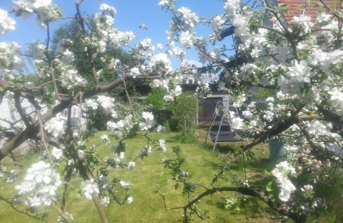 Celle Apartment | Living between forest and meadows, quiet, cozy, close to town SPECIAL PRICE FROM 38,00