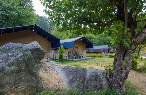 Kaul RV Rental | LivingStone Camping site Normal Tents