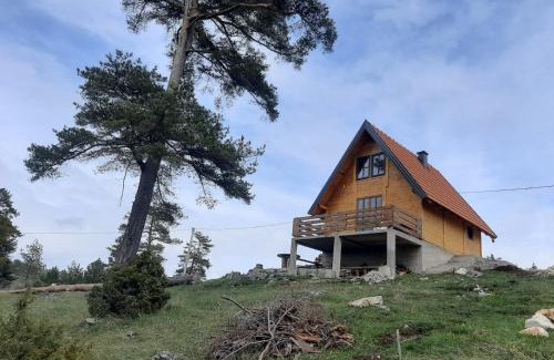 East Sarajevo Ski Chalet | Ljeljen koliba