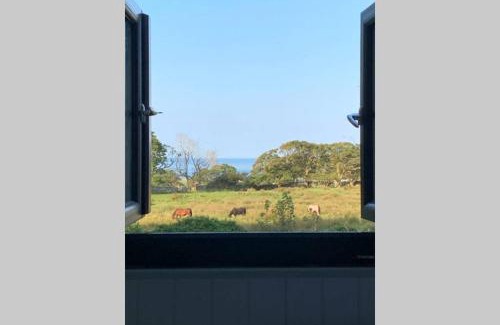 Talybont House | Lle Mary - Beautiful views, Hot tub, Secluded, Dog Welcome, Barmouth