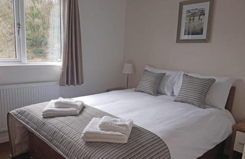 Newport Resort | Llwyngwair Manor Holiday Park