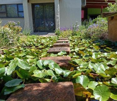 Gansbaai House | Lobelia Self-catering House