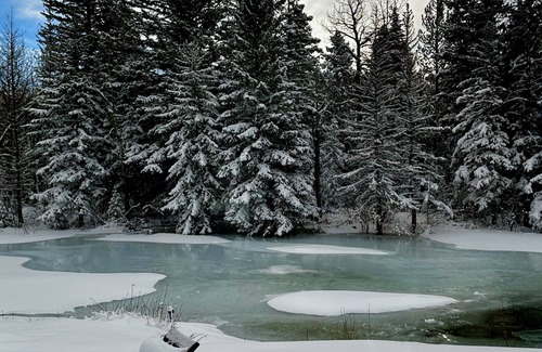 Red Lodge Ski Chalet | Located on Rock Creek, Hot Tub and Minutes to Skiing
