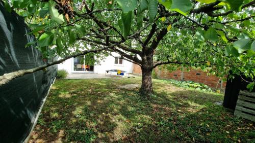 Sainte-Genevieve-des-Bois Villa | Location Cosy Paris - villa Emeraude