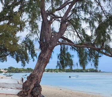 Morcellement Raffray House | location bord de mer Albion ile Maurice