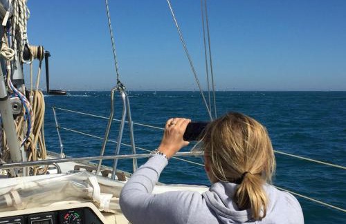 Le Grau-Du-Roi Boat Rental | Location insolite en voilier, navigation, coucher de soleil, et baignades en mer