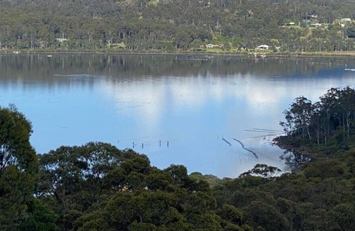 Merimbula House | Lochview - 3 bedroom, pet friendly home with great views! 5+ nights
