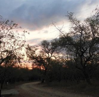 Marloth Park House | Locust Retreat Immaculate 2bedroom cottage
