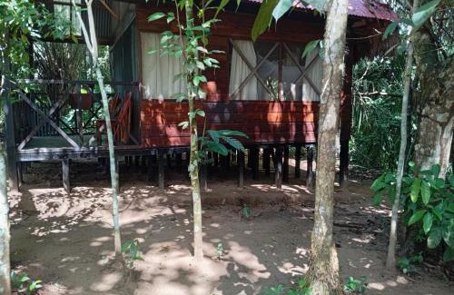Puerto Maldonado Hotel | Lodge Parayso -Tambopata