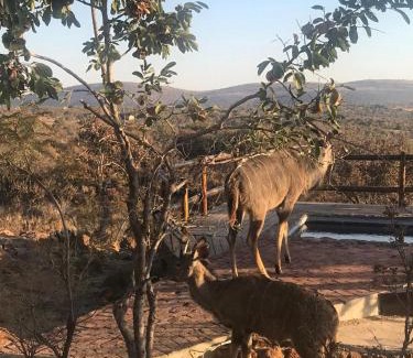 Bela-Bela House | Lodge Twentyfour Mabalingwe Nature Reserve