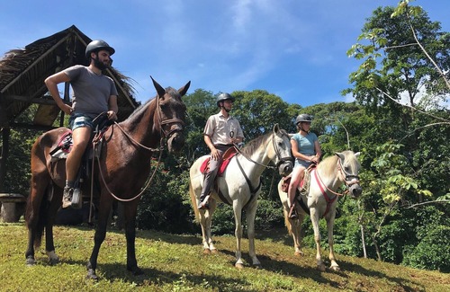 Parrita House | Lodge with Private 40ha Jungle Reserve