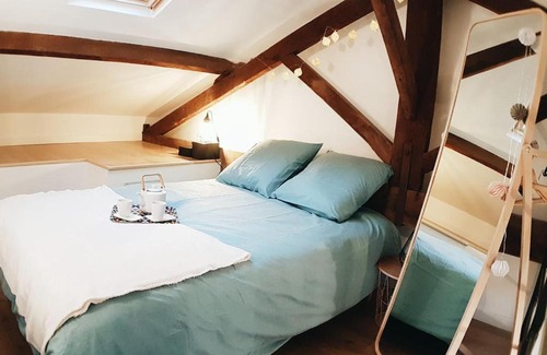 Carabacel Apartment | Loft cosy NICE central