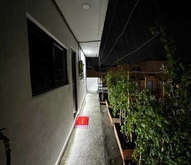 Del Carmen Apartment | Loft Coyoacán Micaela