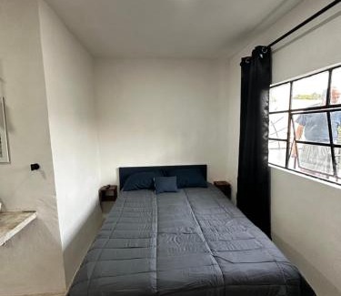 Del Carmen Apartment | Loft Coyoacán Micaela