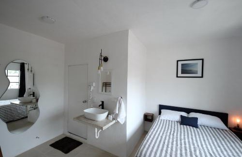 Del Carmen Apartment | Loft Coyoacán Micaela